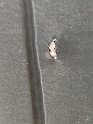 SAT_TireChange_10-2019 (1)